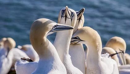 这一刻我清醒了:糖心vlog新官方入口|我当场清醒:原来是带节奏 - 背后有人在推