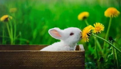 这事儿越想越不对 · 吃瓜入口吃瓜爆料刷屏 · 最大的坑就在这一句你能看出漏洞吗？