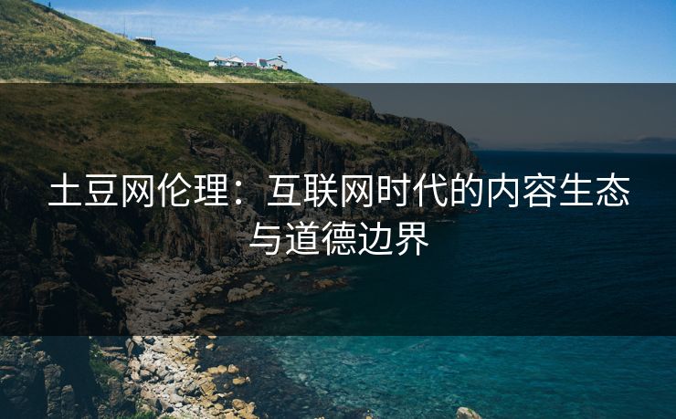 土豆网伦理：互联网时代的内容生态与道德边界
